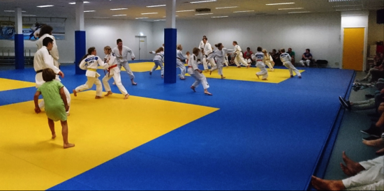 judo clinic.png